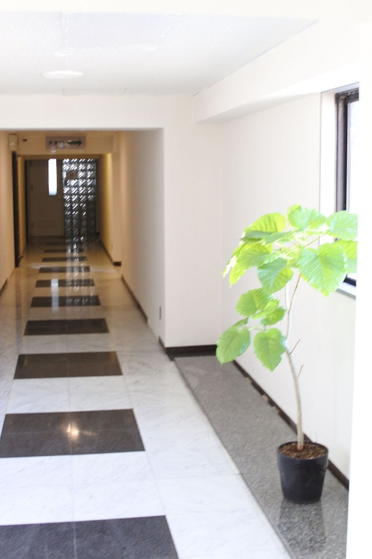 Kagoshima Guest House M104 - Hostel Ngoại thất bức ảnh